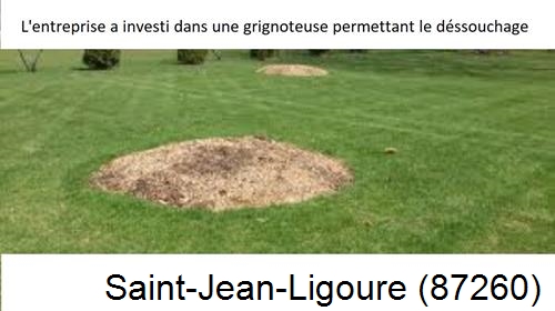 Artisan pour déssouchage d'arbres Saint-Jean-Ligoure-87260