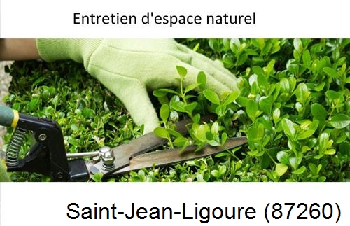 Rénovation jardin particulier Saint-Jouvent-87510