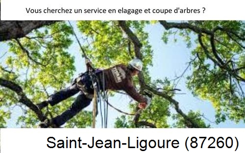 Etêtage d'arbres à Saint-Jean-Ligoure-87260