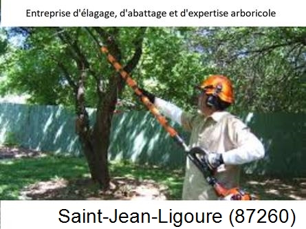 Coupe tête d'arbres Saint-Jean-Ligoure-87260