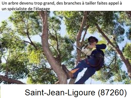 Elagueur qualifié à Saint-Jean-Ligoure-87260