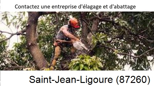 Entreprise d'élagage à Saint-Jean-Ligoure-87260