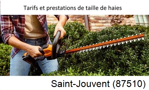 taille de haies Saint-Jouvent-87510