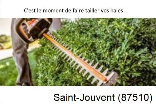 Entreprise de paysage Saint-Jouvent-87510
