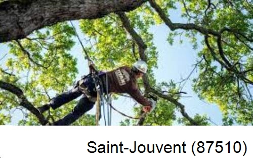 Abattage d'arbres chez un particulier Saint-Jouvent-87510