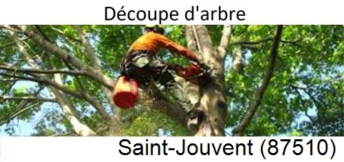 Entreprise du paysage Saint-Jouvent-87510