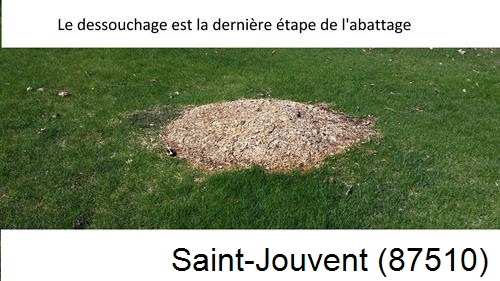 déssouchage d'arbres Saint-Jouvent-87510