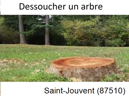 Travaux d'entretien extérieur Saint-Jouvent-87510