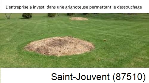 Artisan pour déssouchage d'arbres Saint-Jouvent-87510