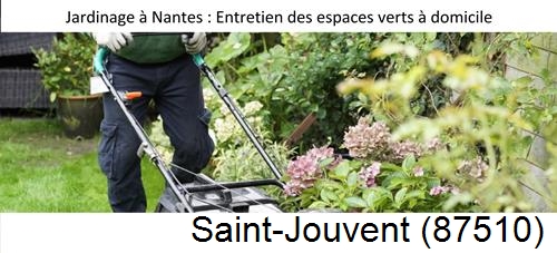 Travaux d'entretien exterieur Saint-Julien-le-Petit-87460