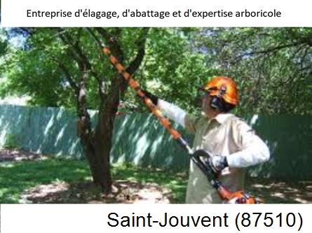 Coupe tête d'arbres Saint-Jouvent-87510