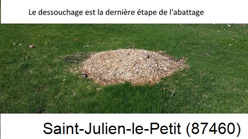 déssouchage d'arbres Saint-Julien-le-Petit-87460