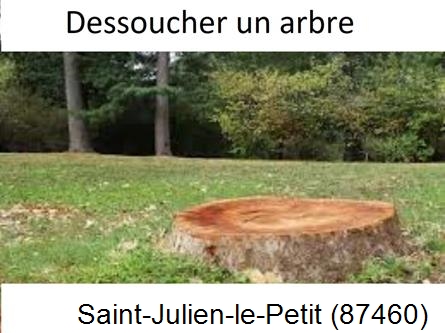 Travaux d'entretien extérieur Saint-Julien-le-Petit-87460