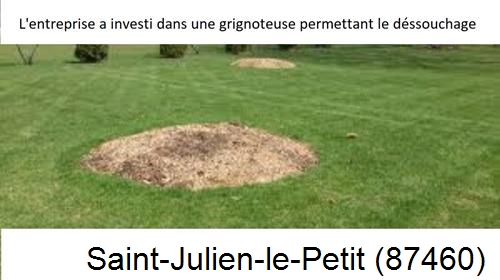 Artisan pour déssouchage d'arbres Saint-Julien-le-Petit-87460