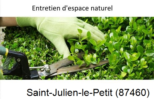 Rénovation jardin particulier Saint-Junien-les-Combes-87300