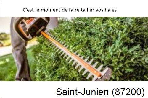 Entreprise de paysage Saint-Junien-87200