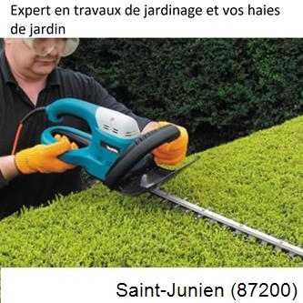 Taille et entretien jardin Saint-Junien-87200