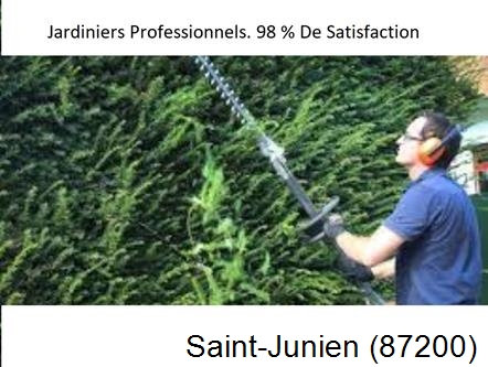 Paysagiste Saint-Junien-87200
