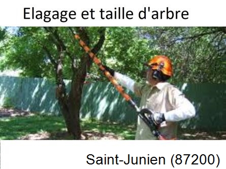 Elagage chez particulier Saint-Junien-87200