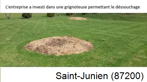 Artisan pour déssouchage d'arbres Saint-Junien-87200