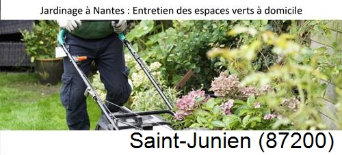 Travaux d'entretien exterieur Saint-Junien-87200
