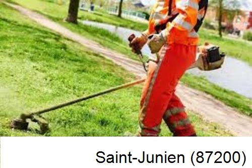 Entretien d'un jardin Saint-Junien-87200