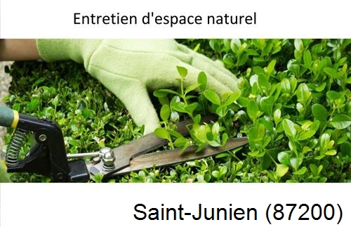 Rénovation jardin particulier Saint-Junien-87200