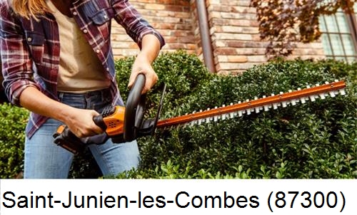 entretien jardin par paysagiste Saint-Junien-les-Combes-87300