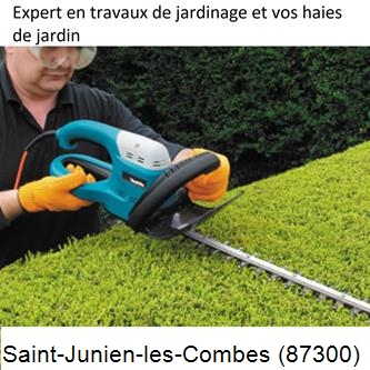 Taille et entretien jardin Saint-Junien-les-Combes-87300
