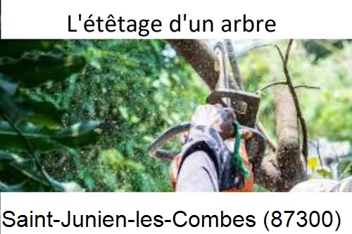 Artisan Abatteur d'arbres Saint-Junien-les-Combes-87300