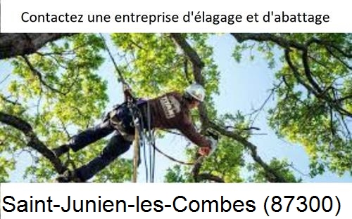 Travaux d'élagage à Saint-Junien-les-Combes-87300