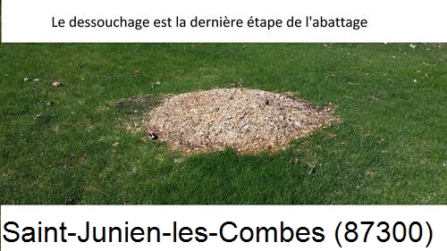 déssouchage d'arbres Saint-Junien-les-Combes-87300