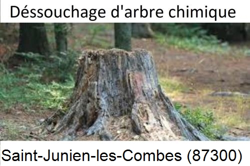 Elagueur déssouchage à Saint-Junien-les-Combes-87300