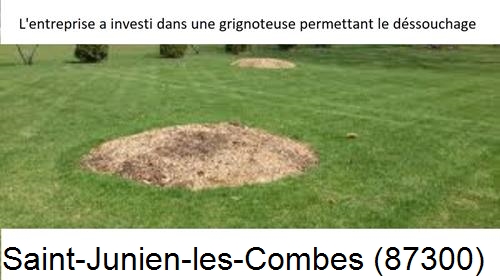 Artisan pour déssouchage d'arbres Saint-Junien-les-Combes-87300