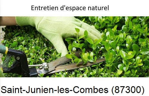 Rénovation jardin particulier Saint-Just-le-Martel-87590