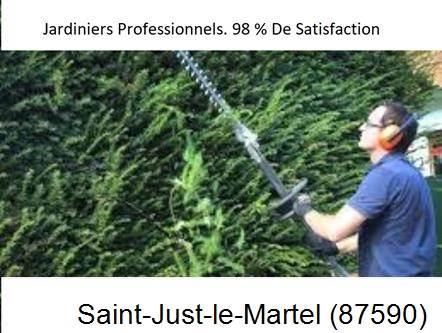Paysagiste Saint-Just-le-Martel-87590