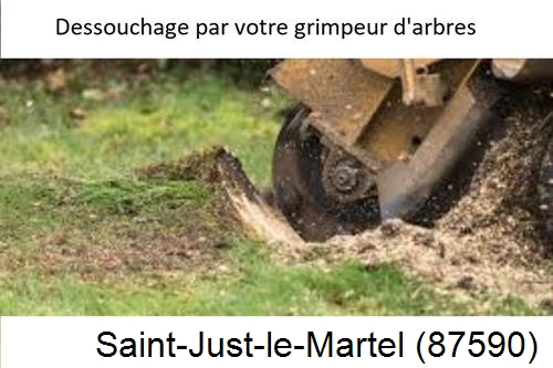 abattage d'arbres à Saint-Just-le-Martel-87590