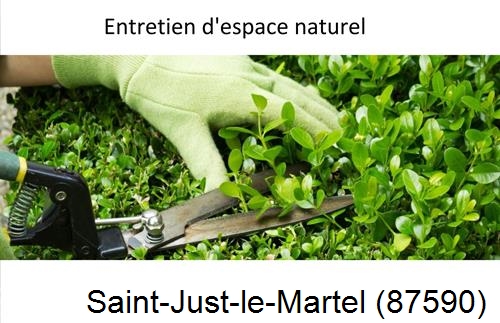 Rénovation jardin particulier Saint-Laurent-les-Églises-87240