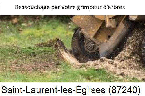 abattage d'arbres à Saint-Laurent-les-Églises-87240