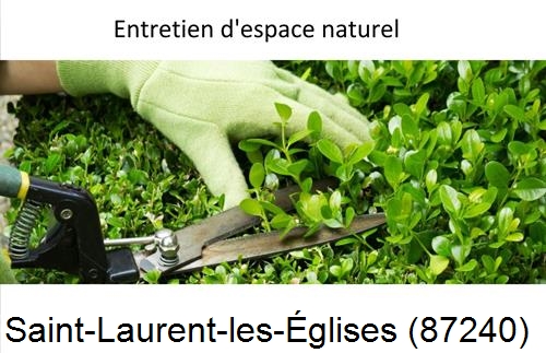 Rénovation jardin particulier Saint-Laurent-sur-Gorre-87310