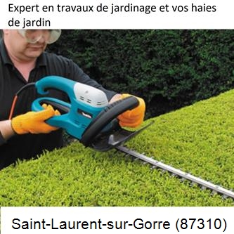Taille et entretien jardin Saint-Laurent-sur-Gorre-87310