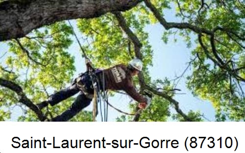 Abattage d'arbres chez un particulier Saint-Laurent-sur-Gorre-87310
