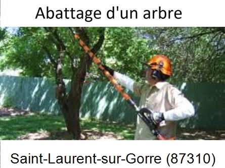 Etêtage et abattage d'un arbre Saint-Laurent-sur-Gorre-87310
