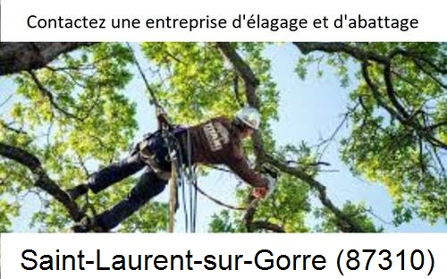 Travaux d'élagage à Saint-Laurent-sur-Gorre-87310