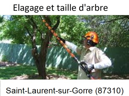 Elagage chez particulier Saint-Laurent-sur-Gorre-87310