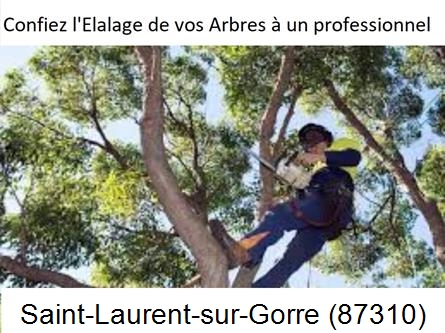 Société d'élagage à Saint-Laurent-sur-Gorre-87310