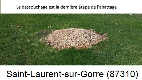 déssouchage d'arbres Saint-Laurent-sur-Gorre-87310