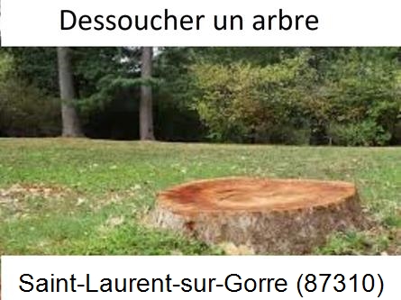 Travaux d'entretien extérieur Saint-Laurent-sur-Gorre-87310