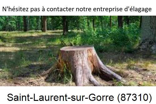 Elagage d'arbres à Saint-Laurent-sur-Gorre-87310