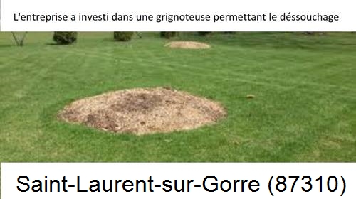 Artisan pour déssouchage d'arbres Saint-Laurent-sur-Gorre-87310